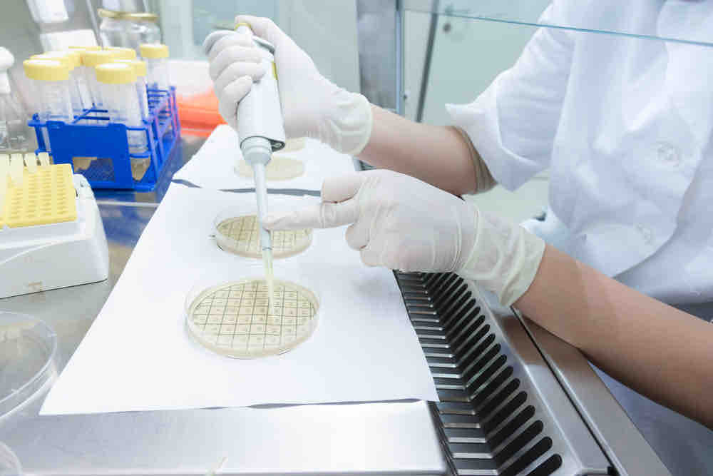 Probiotika vom menschlichen Stamm? Woher stammen diese Bakterien?