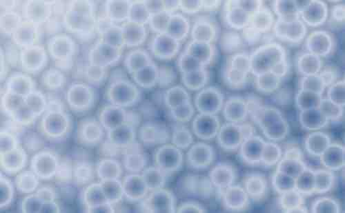 Mikrobiom als Medizin – Warum Ihre Umgebung und Ihr Darm wichtiger sind als die Genetik